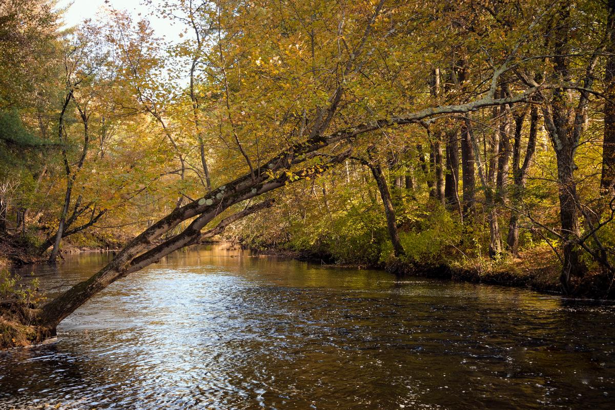 Squannacook River, Massachusetts & New Hampshire
