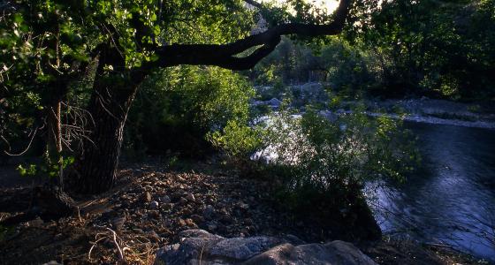Piru Creek, California