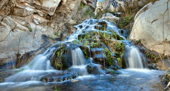 Surprise Canyon Creek, California