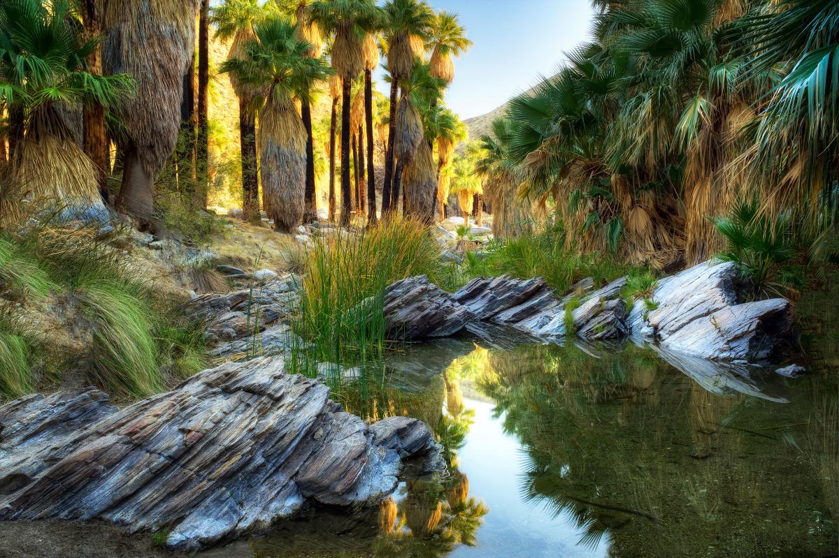 Palm Canyon Creek, California