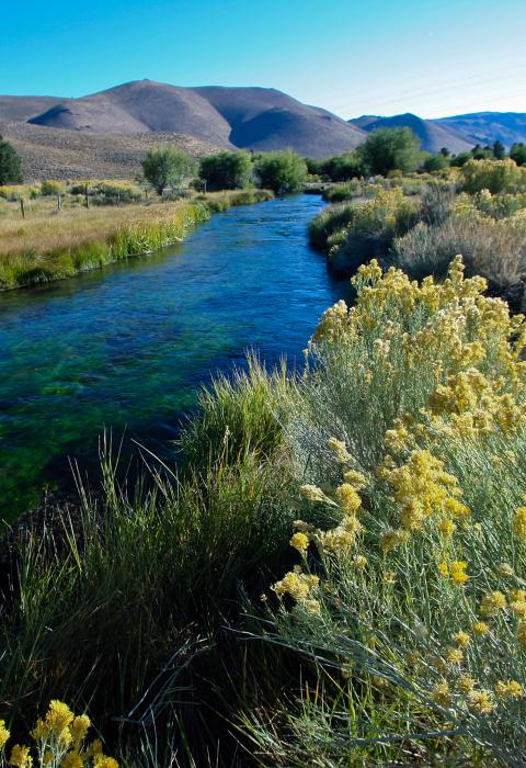 Owens River, California
