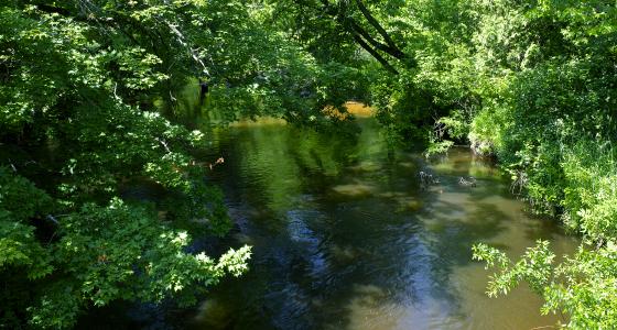 Bear Creek, Michigan