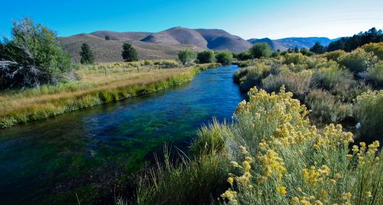 Owens River, California