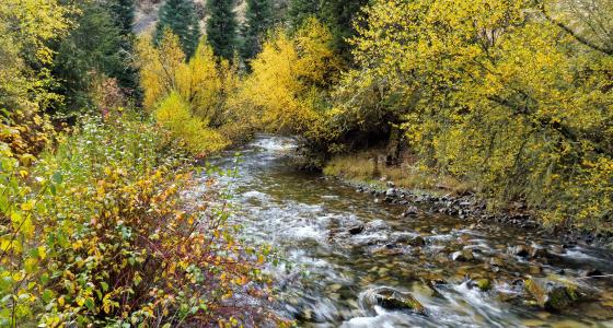 Rapid River, Idaho