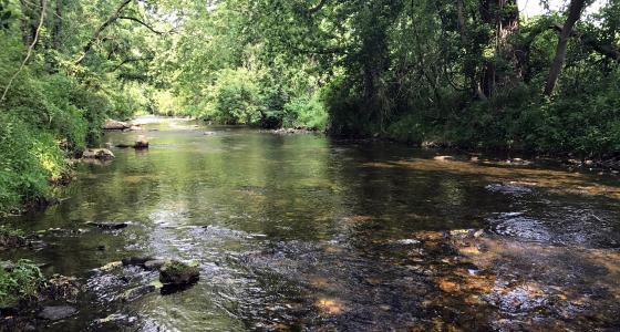 East Branch White Clay Creek, Pennsylvania