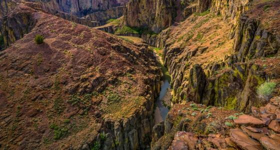 Dickshooter Creek, Idaho