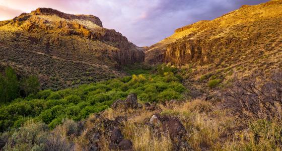 Little Jacks Creek, Idaho