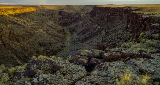 Wickahoney Creek, Idaho