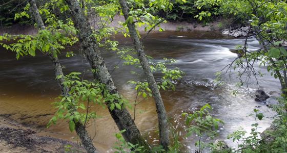 Carp River, Michigan