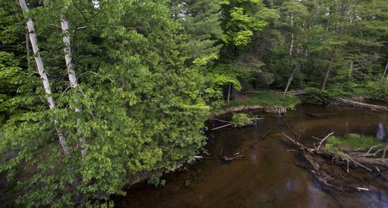Indian River, Michigan