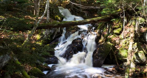 Yellow Dog River, Michigan