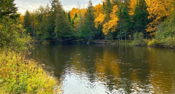 Paint River, Michigan