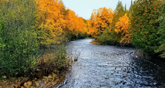 Whitefish River, Michigan