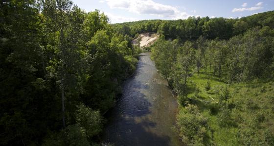 Pine River, Michigan