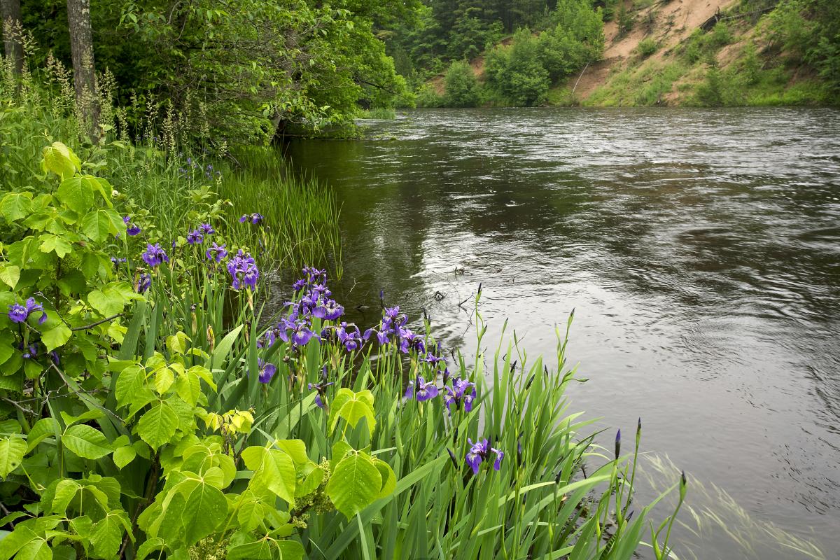 Namekagon River, Wisconsin