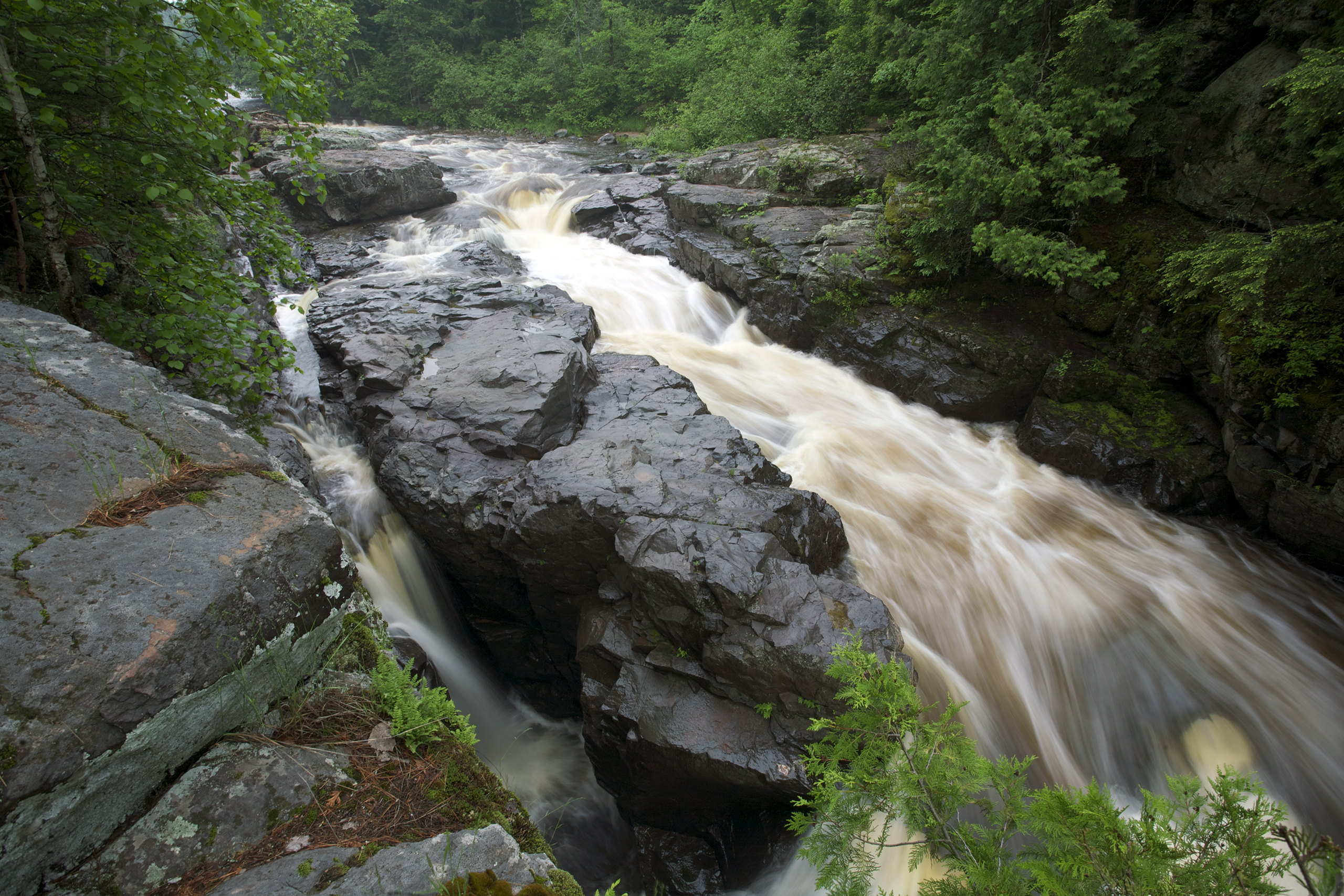 Sturgeon River (Ottawa National Forest) | Rivers.gov