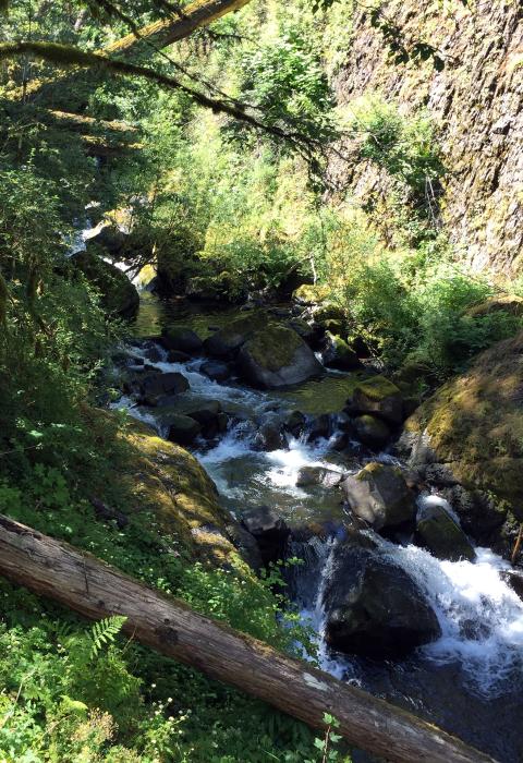 South Fork Clackamas River, Oregon