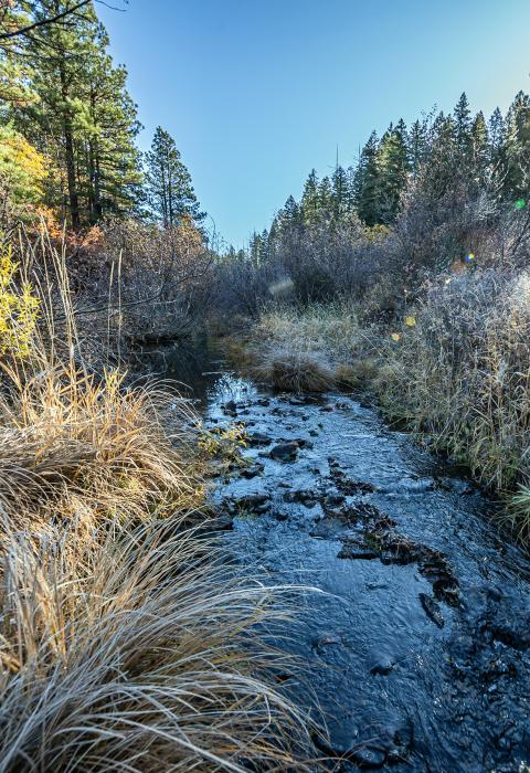 Jenny Creek, Oregon