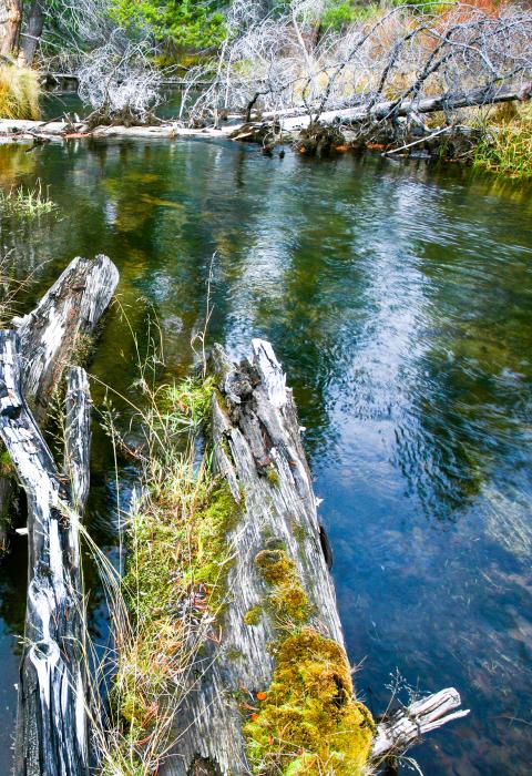 Little Deschutes River, Oregon