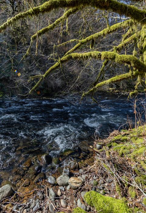 Nestucca River, Oregon