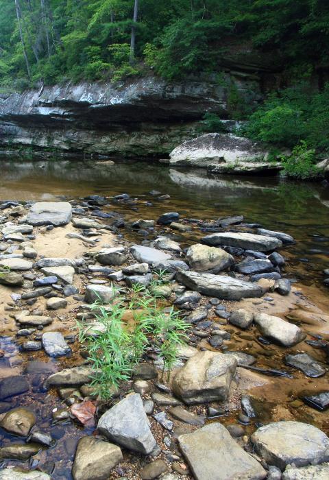 Sipsey Fork West Fork River, Alabama