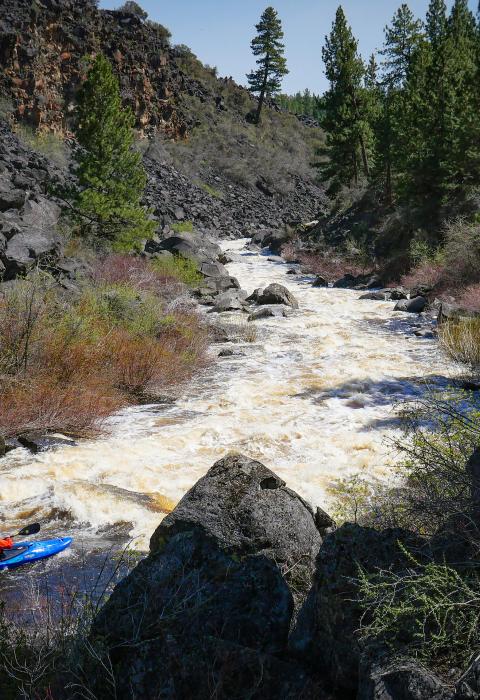 Sycan River, Oregon