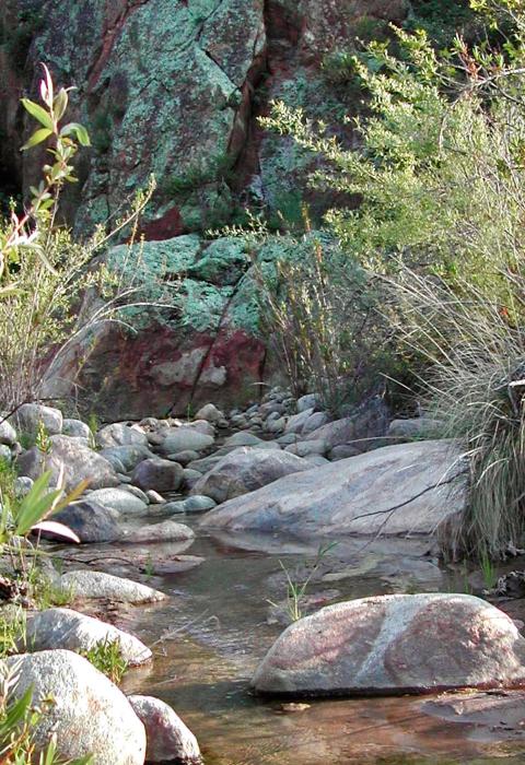 Bautista Creek, California