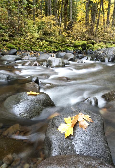Molalla River, Oregon
