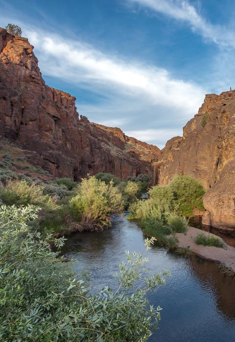 North Fork Owyhee River, Oregon