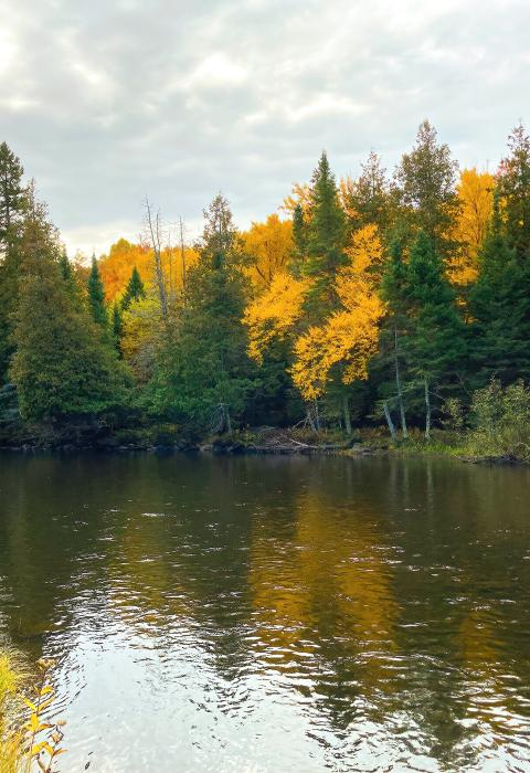 Paint River, Michigan