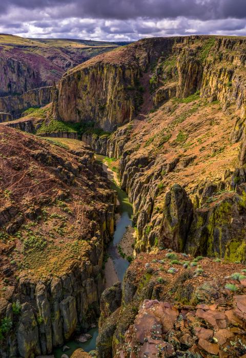 Dickshooter Creek, Idaho