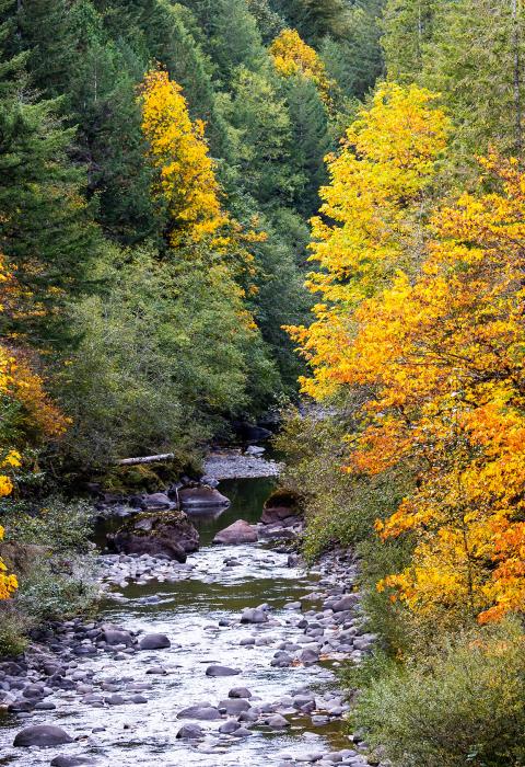 Molalla River, Oregon