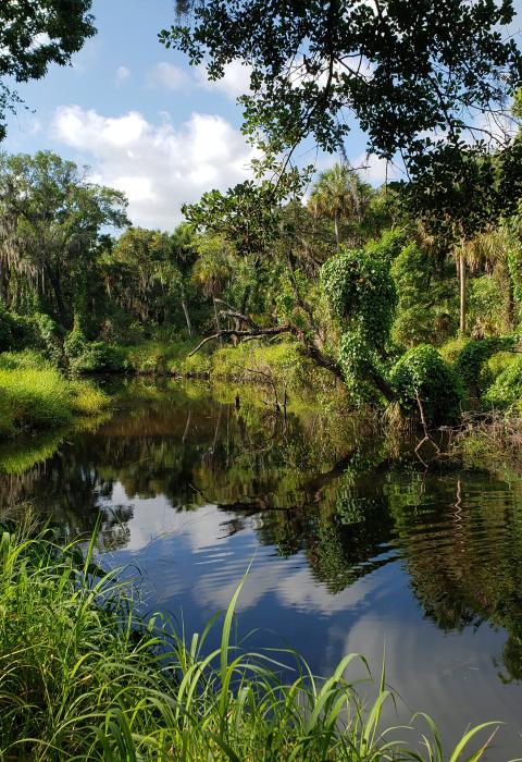 Little Manatee River, Florida