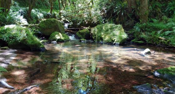 Lobster Creek, Oregon
