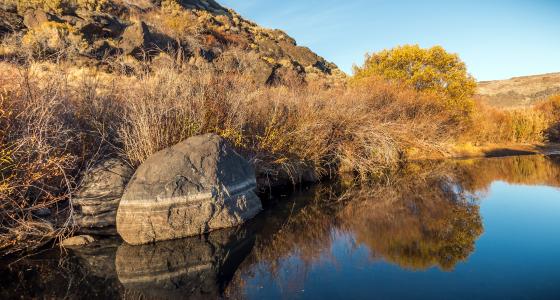 West Little Owyhee River, Oregon