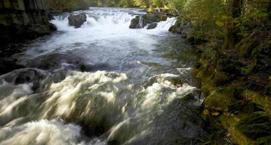 White Salmon River, Washington