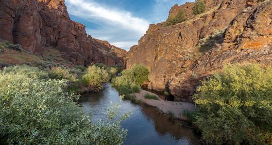 North Fork Owyhee River, Oregon