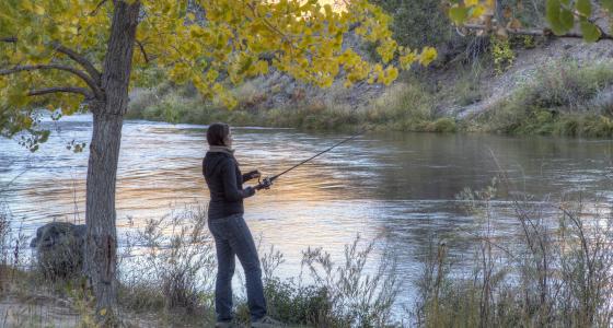 Rio Grande, New Mexico