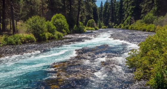 Metolius River, Oregon