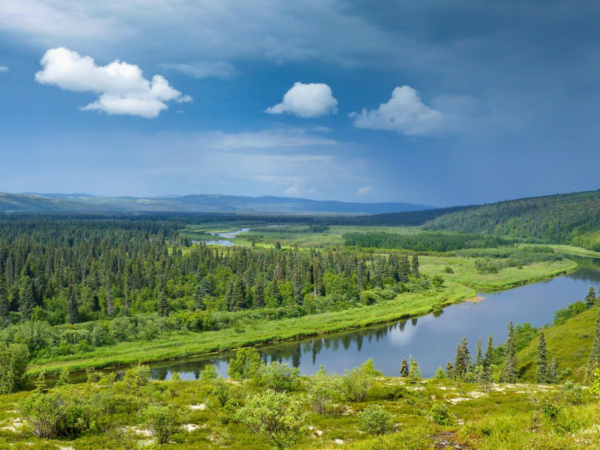 Andreafsky River, Alaska