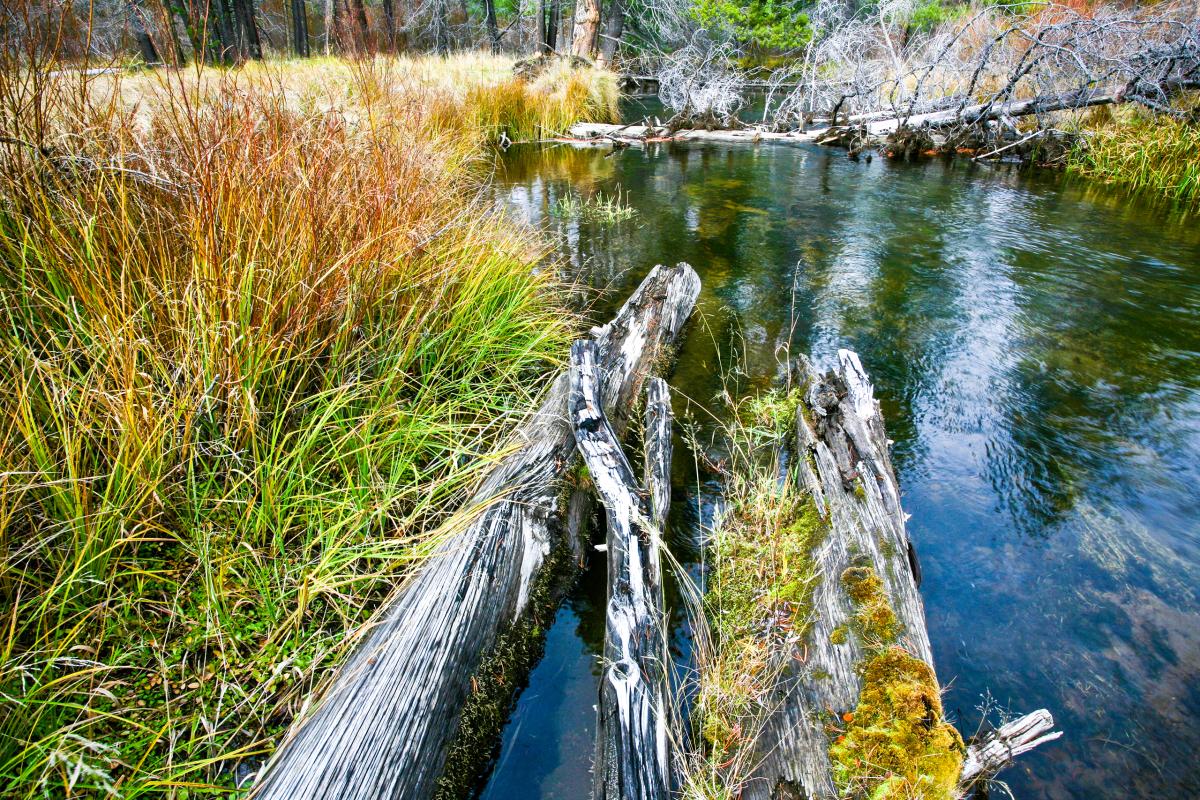 Little Deschutes River, Oregon