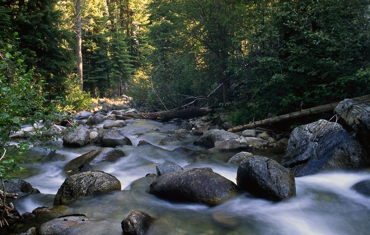 North Powder River, Oregon