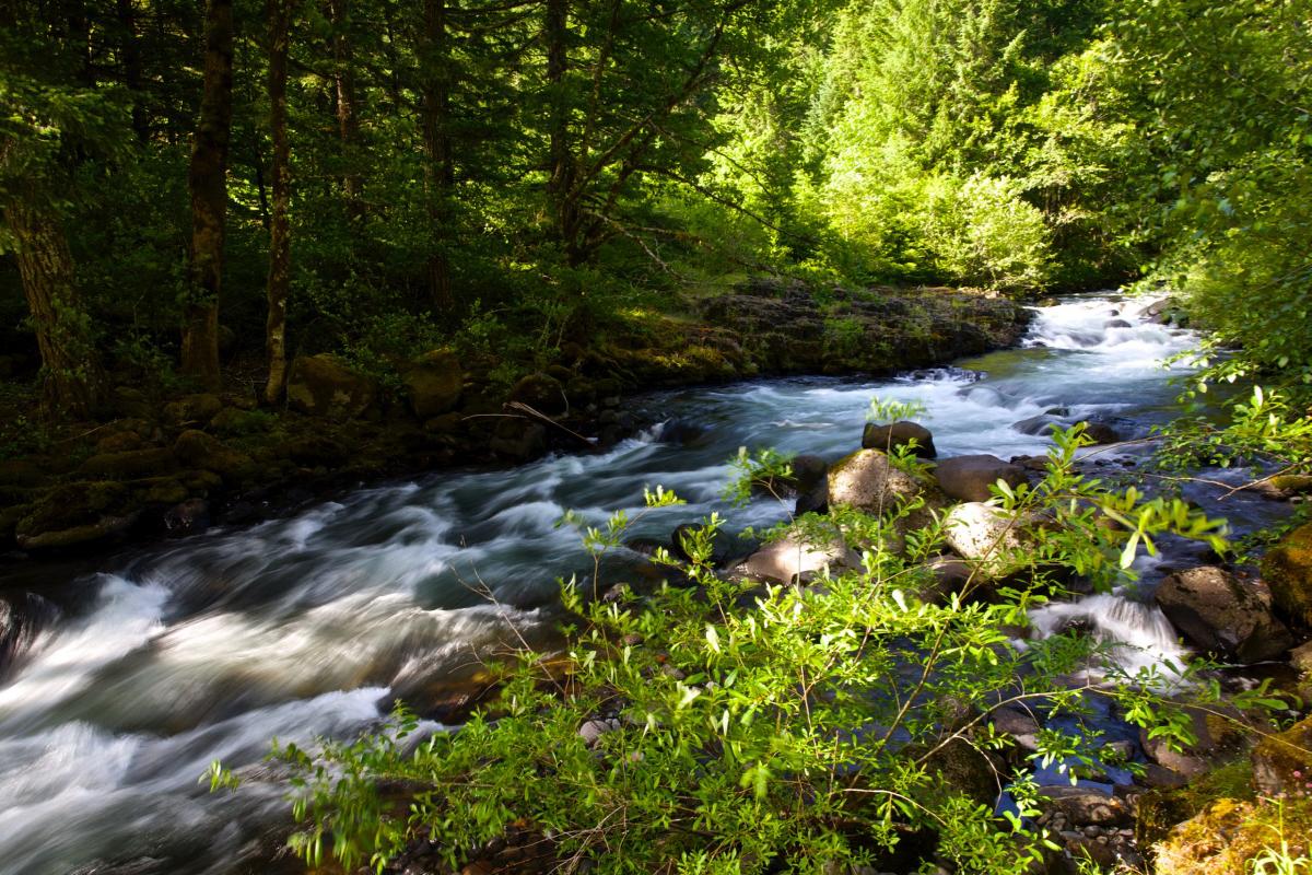 Roaring River, Oregon