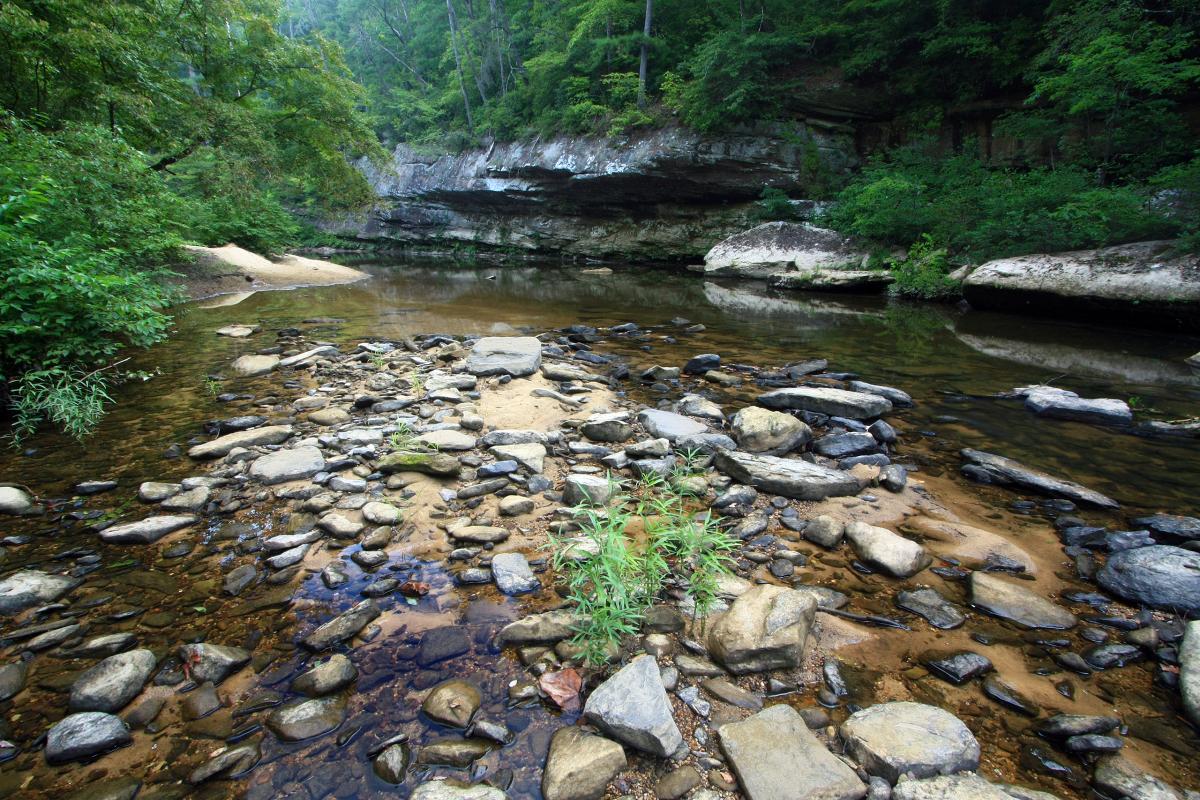 Sipsey Fork West Fork River, Alabama