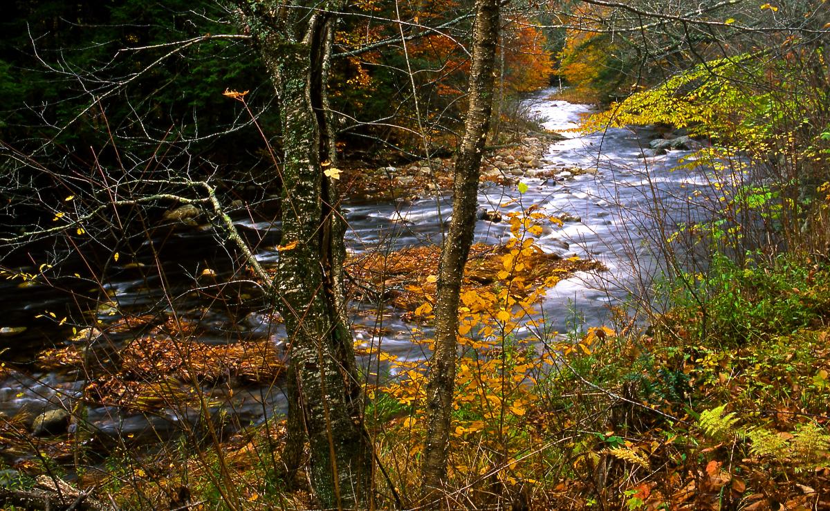 Westfield River, Massachusetts