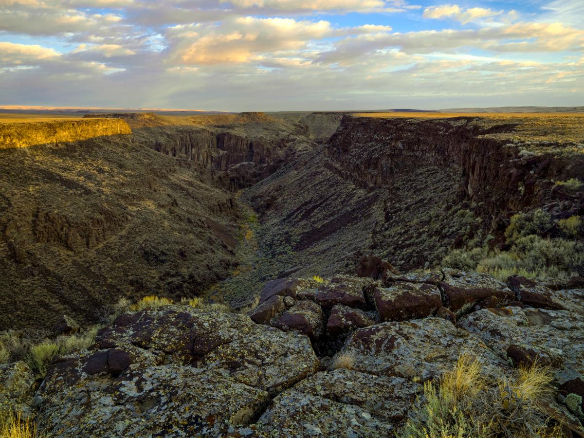 Wickahoney Creek, Idaho