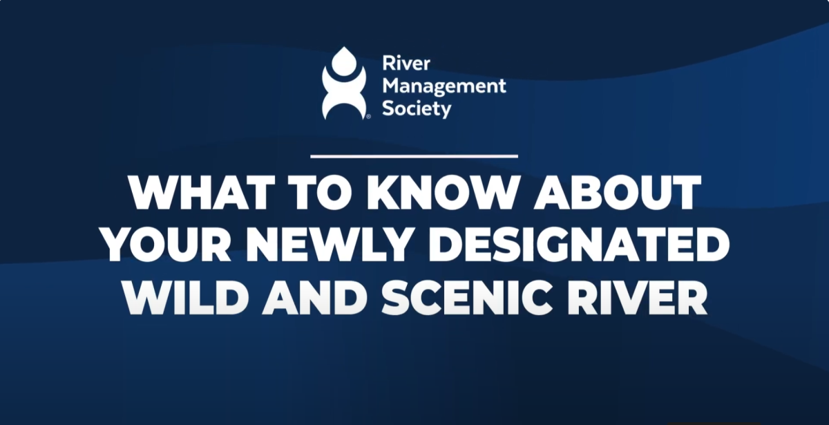 Management Training Videos