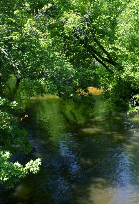 Bear Creek, Michigan