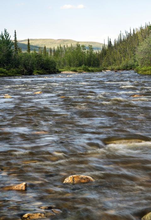 Birch Creek, Alaska