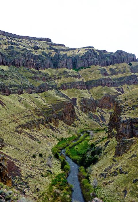 West Fork Bruneau River, Idaho